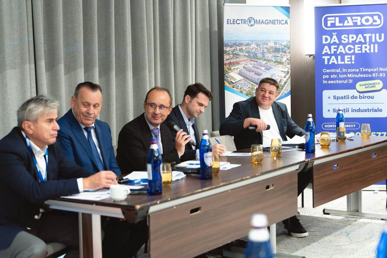 Argument pentru Energie: România are proiecte de peste 3.500 MW în autorizare, dar investiţiile în reţele rămân esenţiale